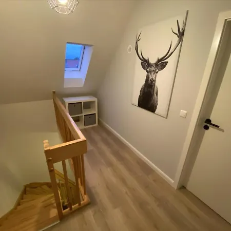 Hus Hygge * Born